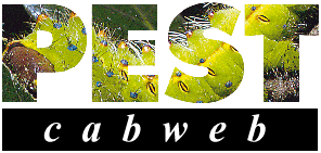 Welcome to PEST CABWeb